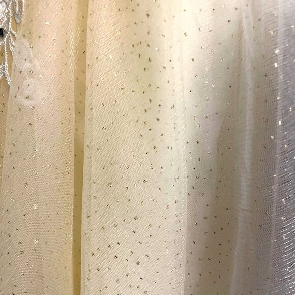 Ivory & Cream Lace & Tulle Short Dress With Rhinestone Accents Size 8 Elegant NW - Picture 9 of 13